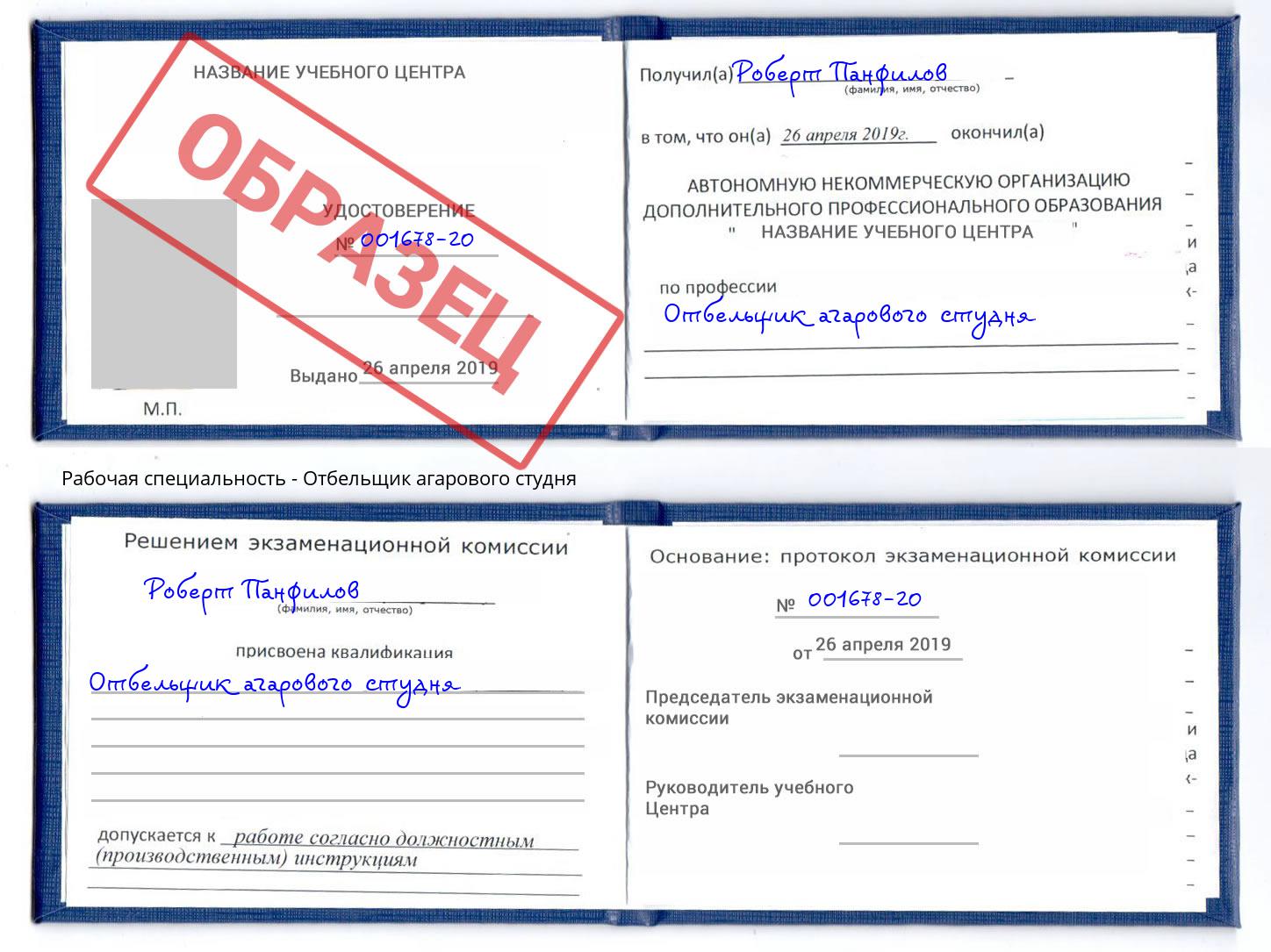 Отбельщик агарового студня Ессентуки