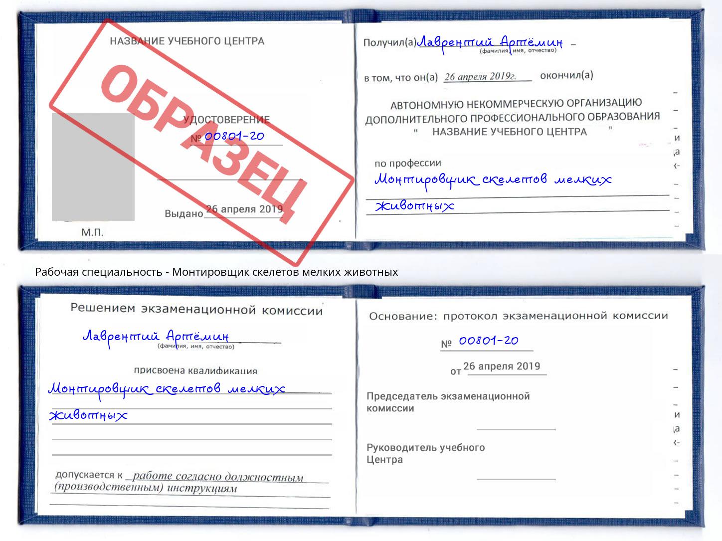 Монтировщик скелетов мелких животных Ессентуки