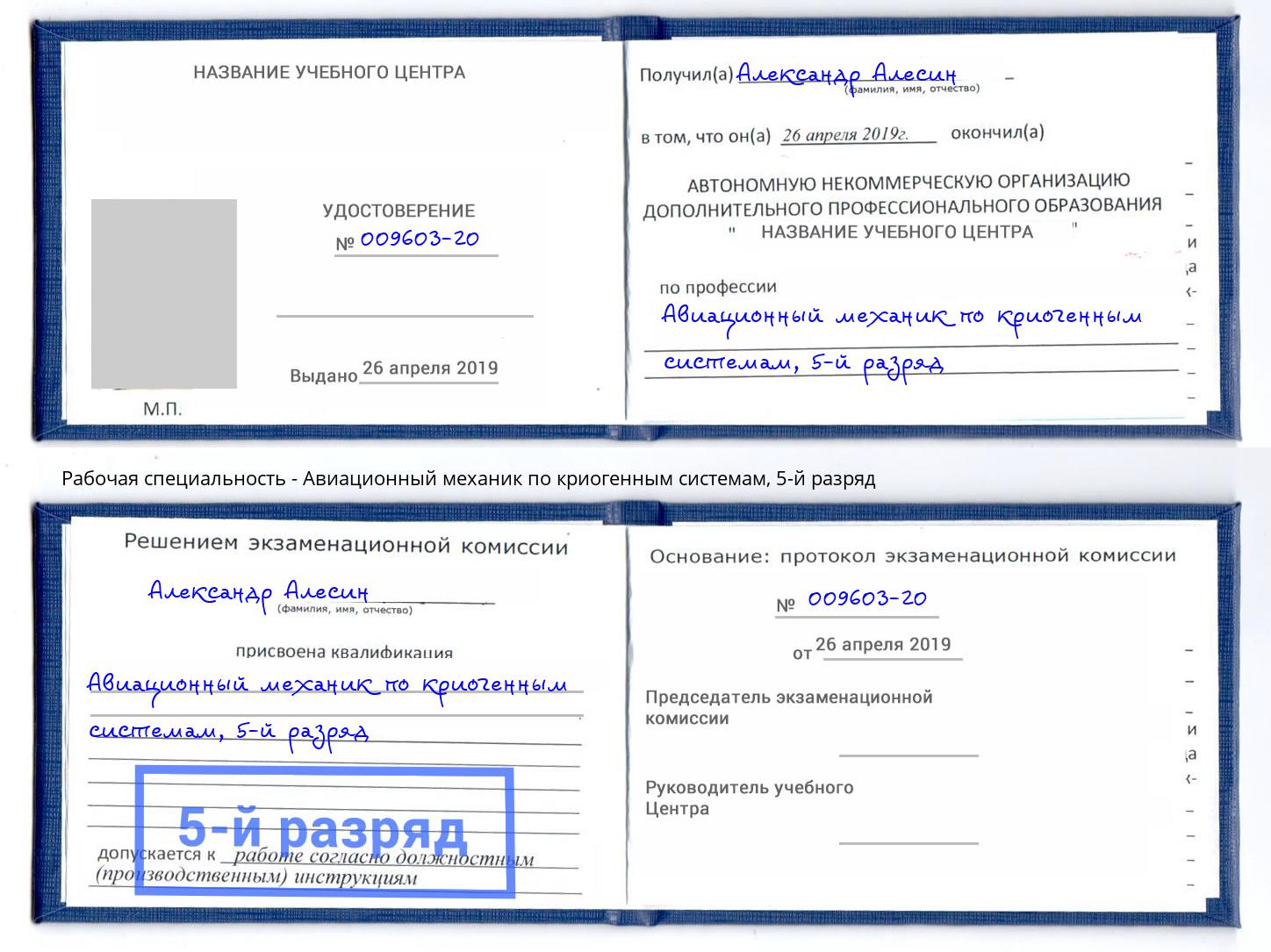 корочка 5-й разряд Авиационный механик по криогенным системам Ессентуки